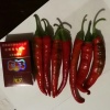 陈金权的一亩田店铺