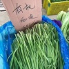 宋斌的一亩田店铺