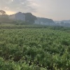 丰硕农业的一亩田店铺