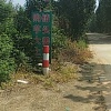 福哥芋头合作社的一亩田店铺