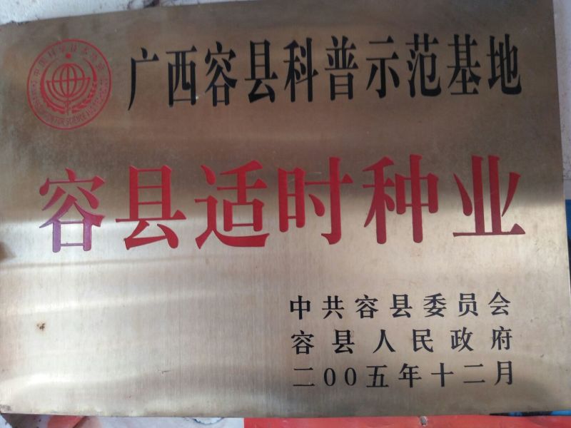 番石榴苗30~50cm