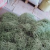 马占英的一亩田店铺