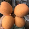 张树连的一亩田店铺