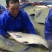 青鱼饲料活鱼