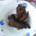 牛肉干黄牛肉鲜肉