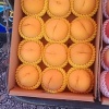 李存永的一亩田店铺