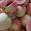 文博商行的一亩田店铺