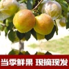 谢晓军的一亩田店铺