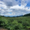 王金贵的一亩田店铺