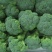 耐寒优秀西兰花0.8~1.5斤