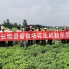 伟盛农业种植专业合作社的一亩田店铺