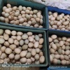 飞哥传说生态农业的一亩田店铺