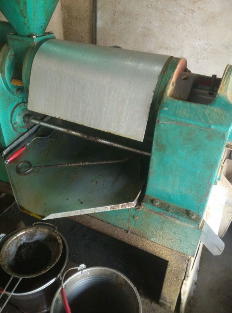 压榨菜籽油一级