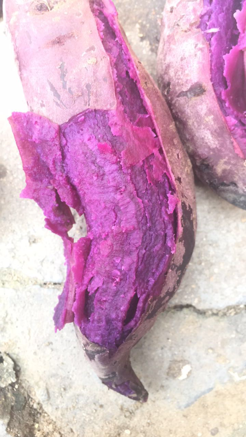 紫薯紫罗兰1两以上商品薯紫心！徐紫八号