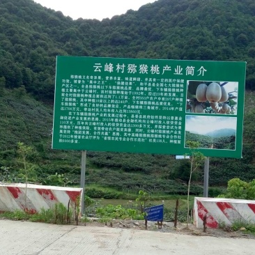 米良2号90~100克