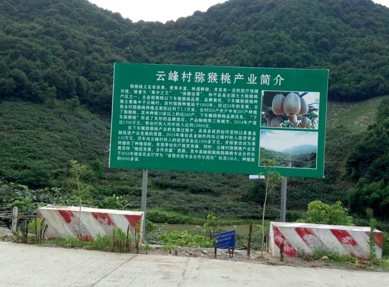 米良2号90~100克