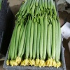 宁夏菜东家农业技术开发有有限公司的一亩田店铺