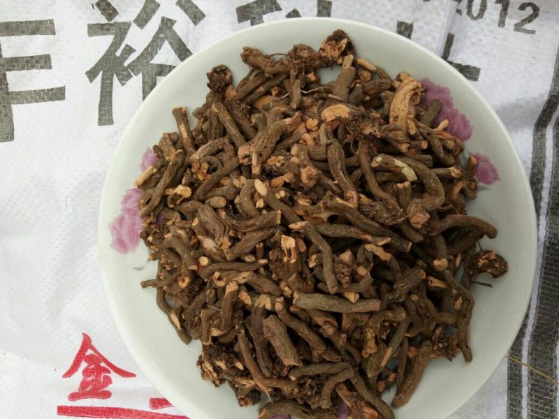 茜草河南野生支持线上保障交易可视频看货