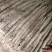 九斤黄山药3~4厘米一级通货40~50厘米