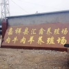 高中喜的一亩田店铺