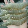 唐洪林的一亩田店铺