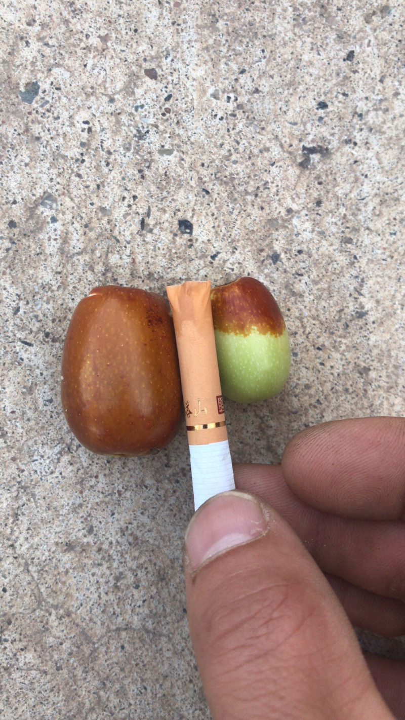 朝阳大枣代收当天采摘当天发货，鲜枣脆枣。有需要请提前预约