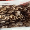 宋广宾的一亩田店铺