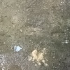 谢博士的一亩田店铺