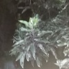 四季鲜商贸有限公司留的一亩田店铺