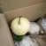 砀山梨250~300g纸袋