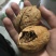 新疆核桃