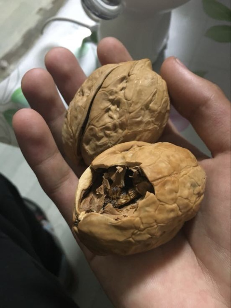 新疆核桃
