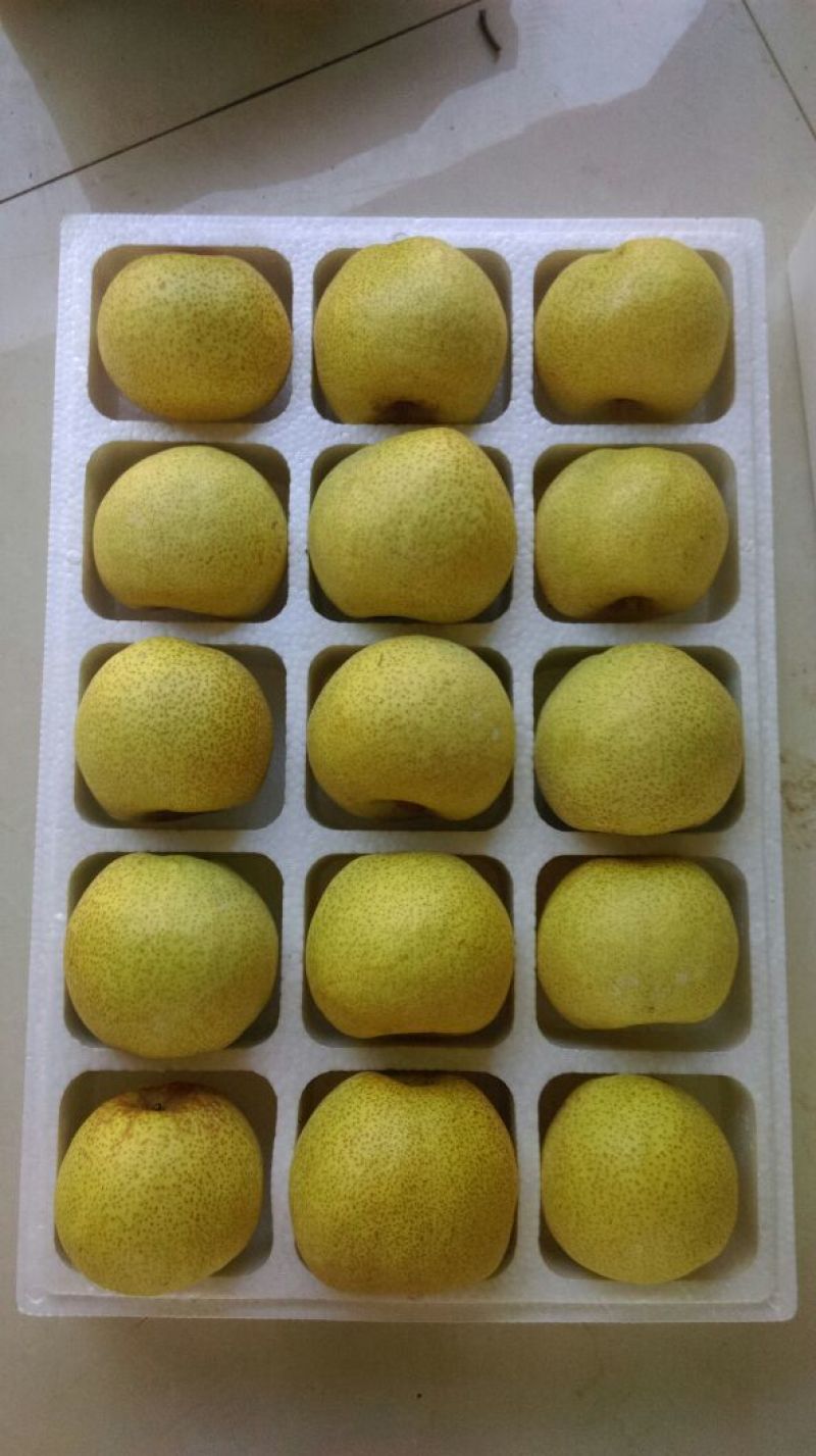 砀山梨350~400g纸箱