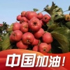 刘法强的一亩田店铺