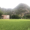 小巴掌田农业贸易合作经营部的一亩田店铺