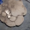 胡泽志的一亩田店铺