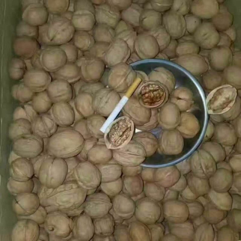薄皮核桃30mm以上去皮干