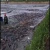 王科的一亩田店铺