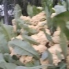 陈海丽的一亩田店铺