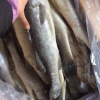 蓝色水产的一亩田店铺