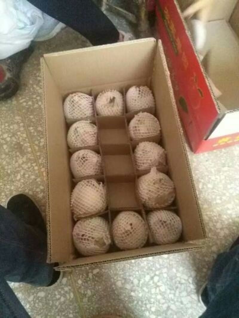 贡梨200~250g纸箱