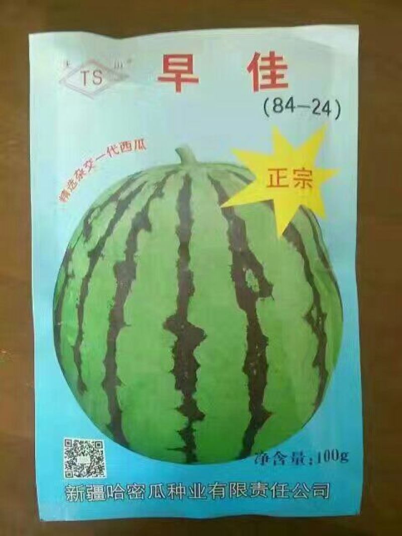 西瓜苗95%以上