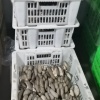 曹倩云的一亩田店铺
