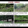 贺杨斌的一亩田店铺