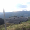 万如雯的一亩田店铺