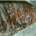 马肉冷冻