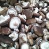 遵化市艳松食用菌香菇批发的一亩田店铺