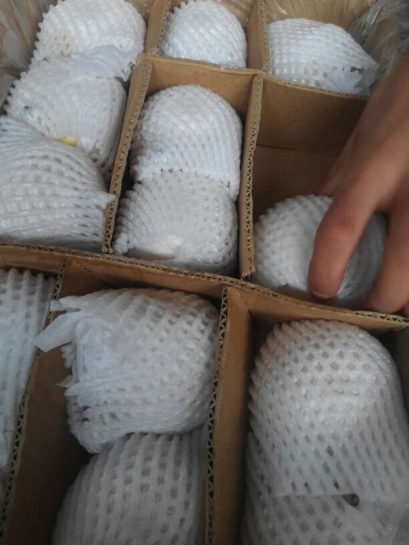 皇冠梨250~300g纸袋