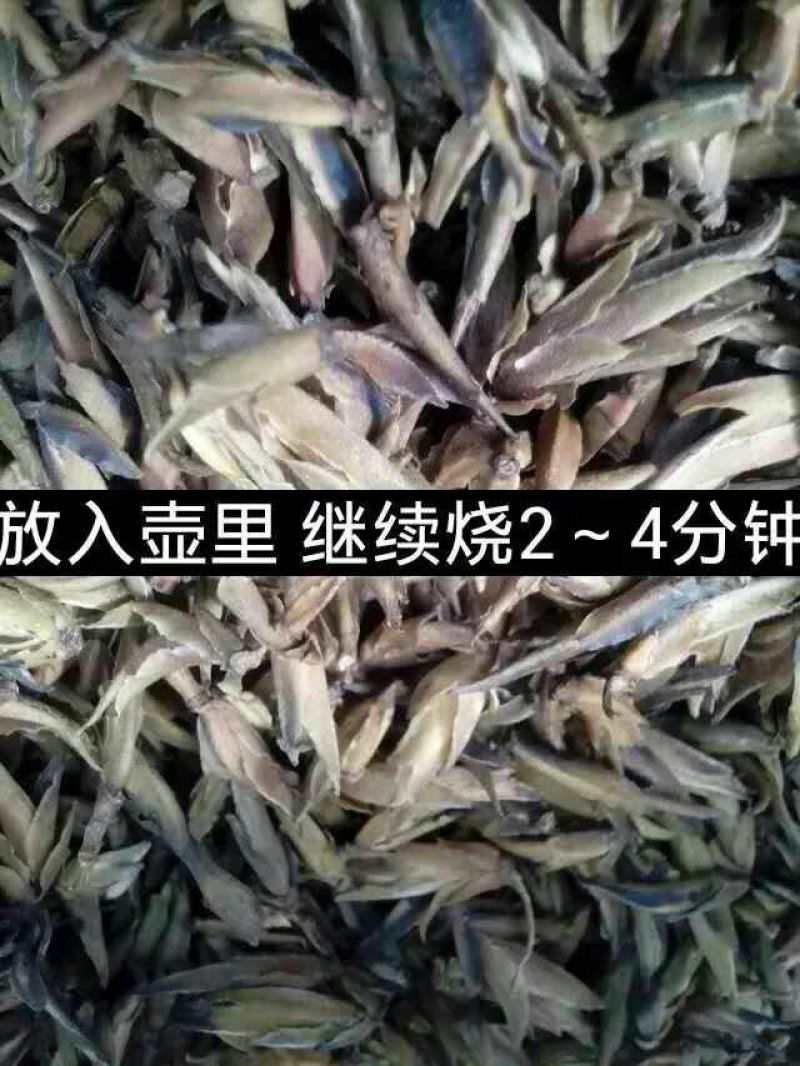 普洱茶