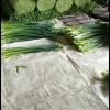 啊坚种植合作社的一亩田店铺